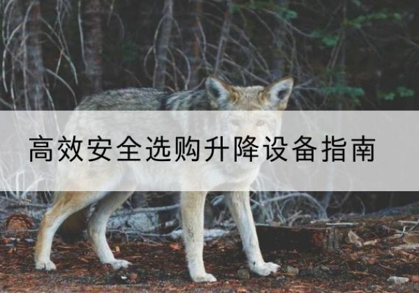 头屯河升降货梯厂家推荐-*安全选购升降设备指南