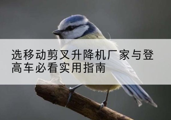 头屯河电动升降机厂家-选移动剪叉升降机厂家与登高车必看实用指南